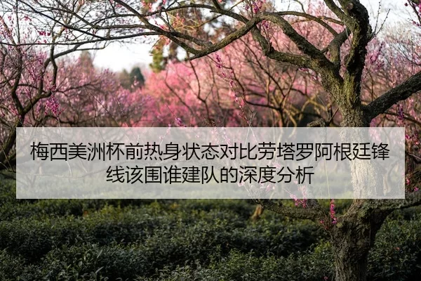 梅西美洲杯前热身状态对比劳塔罗阿根廷锋线该围谁建队的深度分析