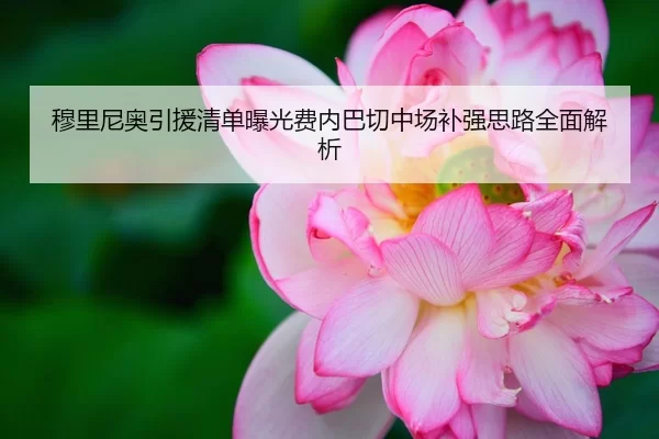 穆里尼奥引援清单曝光费内巴切中场补强思路全面解析