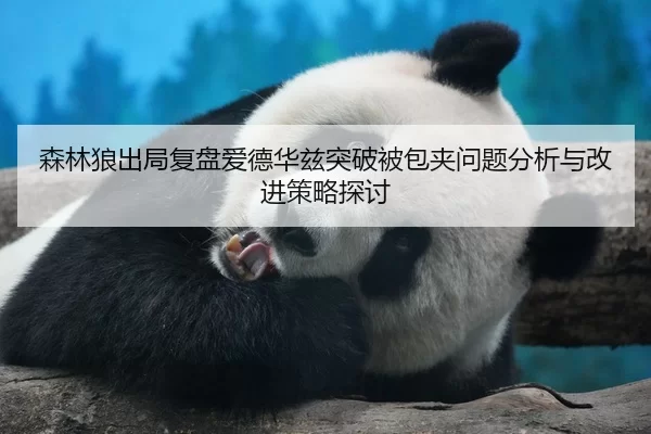 森林狼出局复盘爱德华兹突破被包夹问题分析与改进策略探讨
