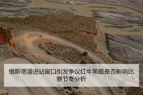 维斯塔潘进站窗口引发争议红牛策略是否影响比赛节奏分析