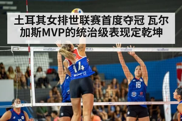 volleyball spike action